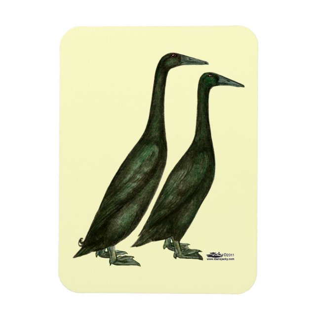 Black Runner Ducks Magnet (Vertical)