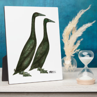 Black Runner Ducks Plaque