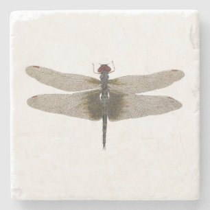 Black Saddlebags Coaster