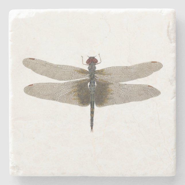 Black Saddlebags Coaster (Front)