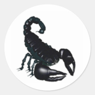 Black Scorpion Classic Round Sticker
