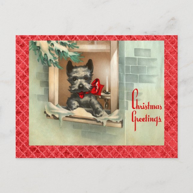 Black Scottie Dog in Window Red Holiday Postcard (Front)