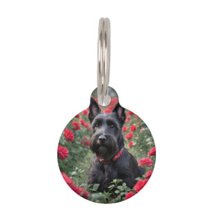 Black Scottish Terrier In Red Roses, Pet Tag