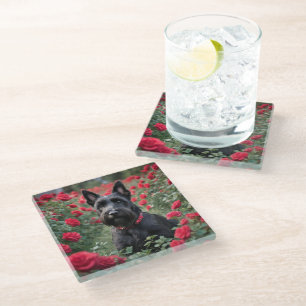 Black Scottish Terrier In The Red Roses, Glass Coaster