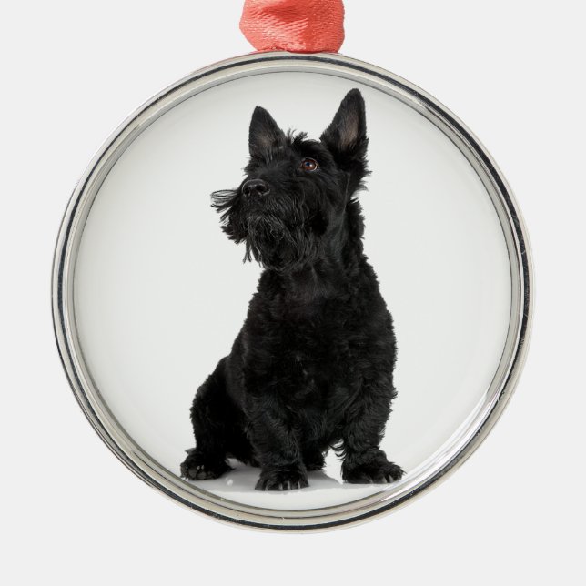 Black Scottish Terrier Metal Tree Decoration (Front)