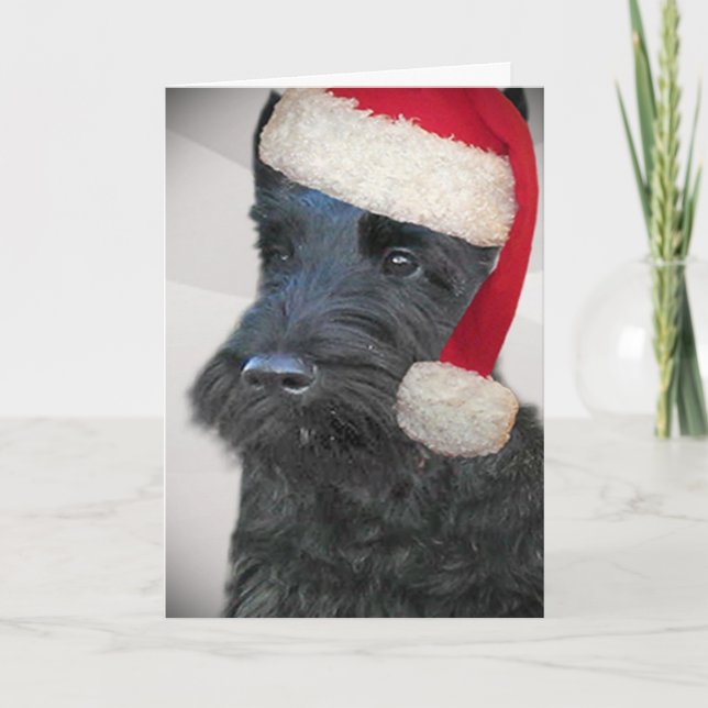 Black Scottish Terrier Santa Card (Front)