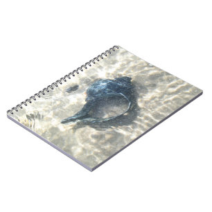 Black Seashell Notebook
