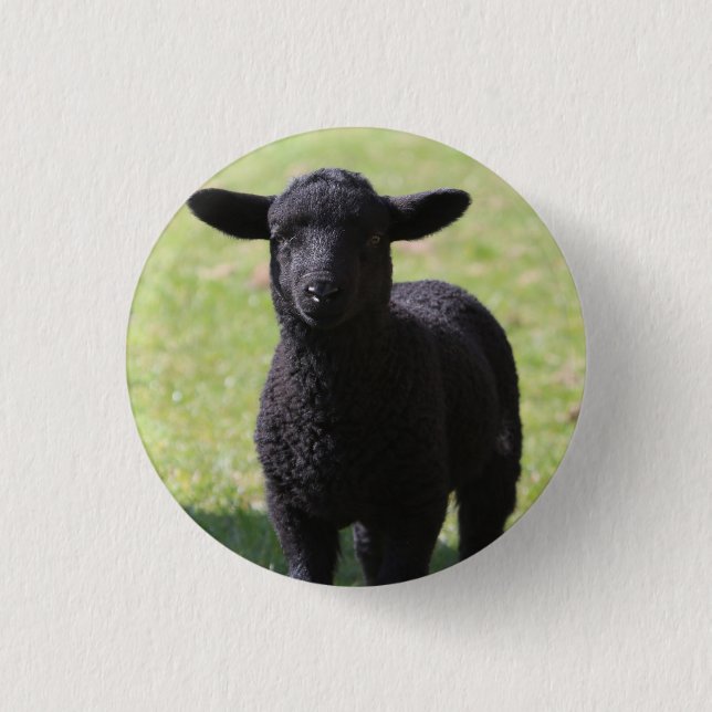 Black Sheep - Button (Front)