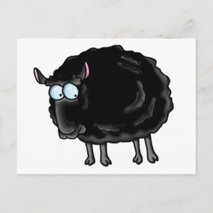 Black sheep postcard