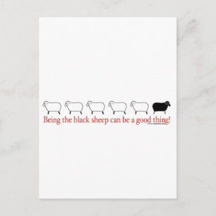 Black Sheep Postcard
