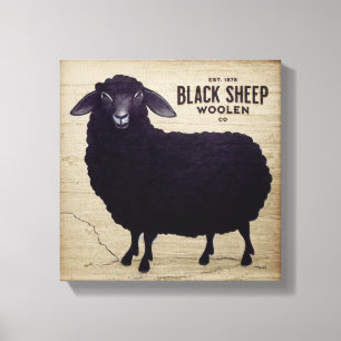 Black Sheep Woollen Co. Farmhouse Canvas Print
