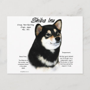 Black Shiba Inu History Postcard