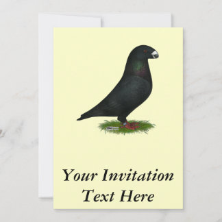 Black Show Racer Invitation