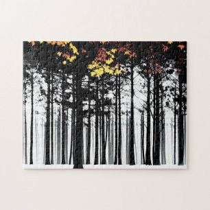Black Silhouette Trees and Autumn Colours Jigsaw Puzzle