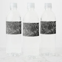 Black & Silvery Spider Webs Chic Halloween Party