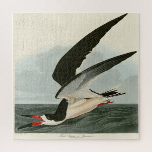 Black Skimmer, Shearwater Audubon Birds of America Jigsaw Puzzle
