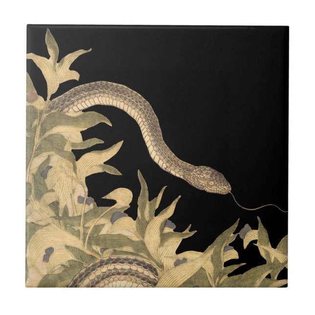 Black Snake Vintage Tile (Front)