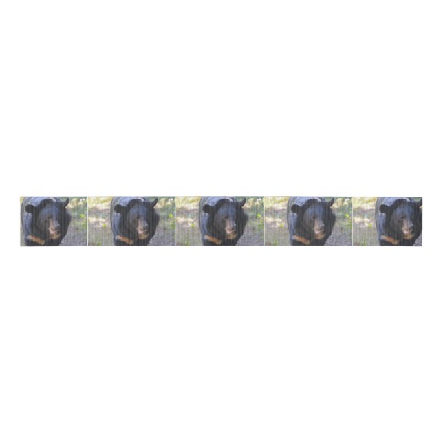Black Spectacled Bear Grosgrain Ribbon (Front)