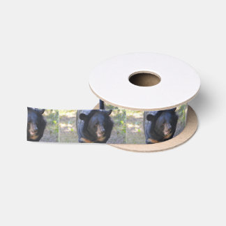 Black Spectacled Bear Satin Ribbon