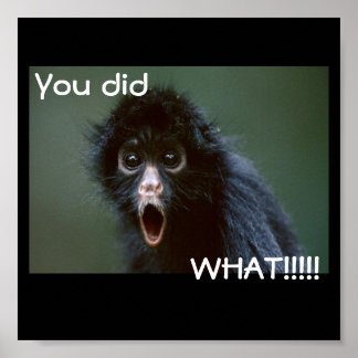 black-spider-monkey edited, You did, WHAT!!!!! Poster