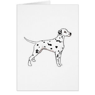 Black-Spotted Dalmatian