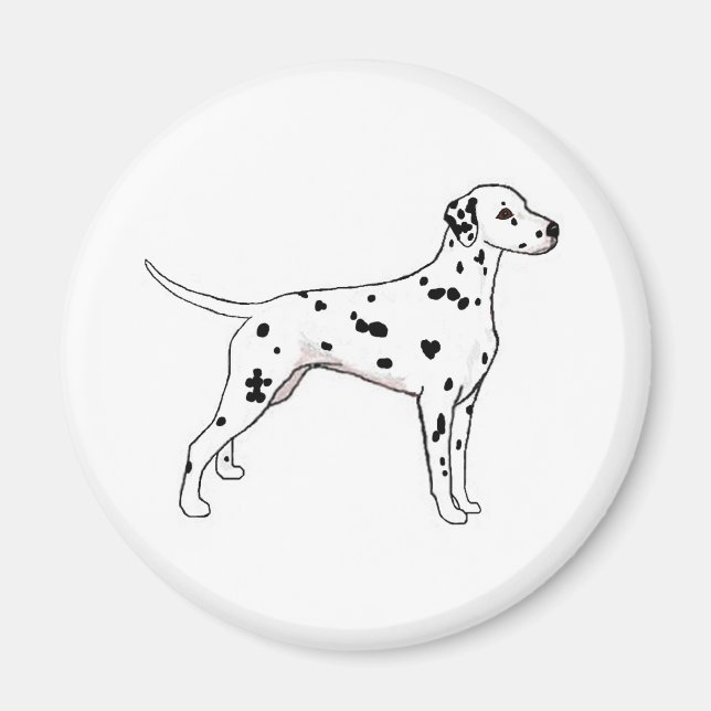 Black-Spotted Dalmatian Magnet (Front)