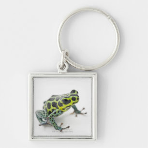 Black Spotted Green Poison Dart Frog Key Ring