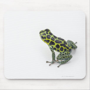 Black Spotted Green Poison Dart Frog Mouse Pad