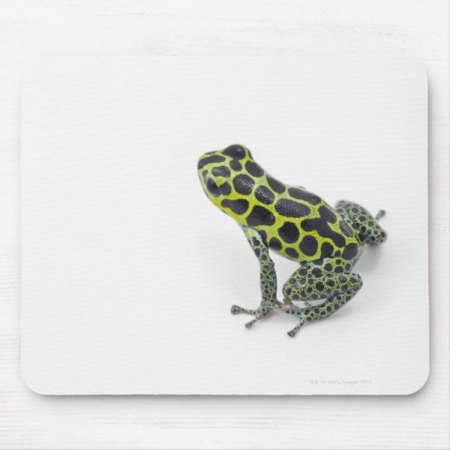 Black Spotted Green Poison Dart Frog Mouse Pad (Front)