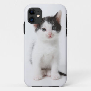 Black Spotted Kitten iPhone 11 Case