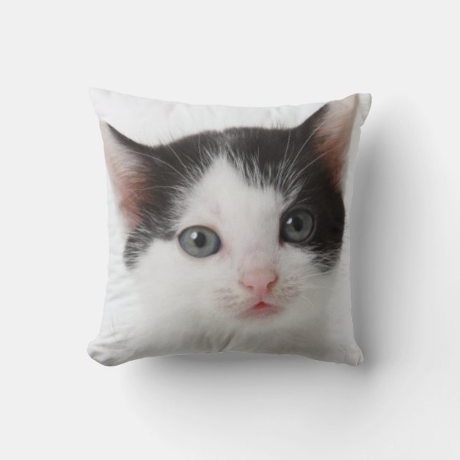 Black Spotted Kitten Cushion (Front)