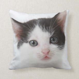 Black Spotted Kitten Cushion