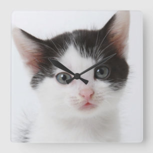Black Spotted Kitten Square Wall Clock