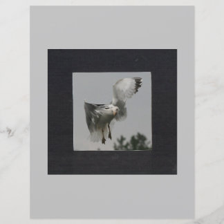 Black Square on Grey Photo Frame