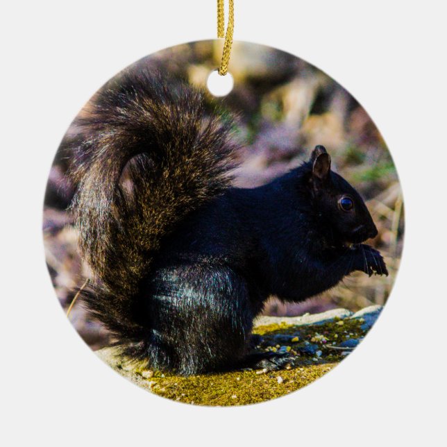 Black Squirrel Ceramic Tree Decoration (Front)