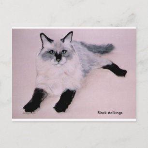Black Stalkings                               ... Postcard