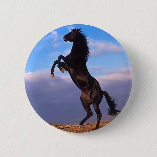 Black Stallion 6 Cm Round Badge (Front)