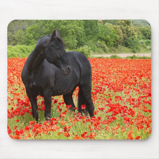 Black Stallion and Poppies  Mouse Pad (Front)