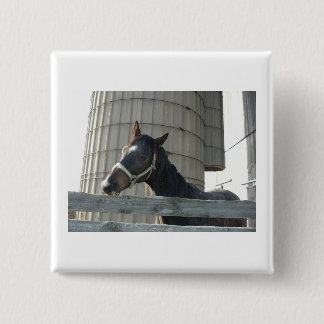Black Stallion Beauty 15 Cm Square Badge