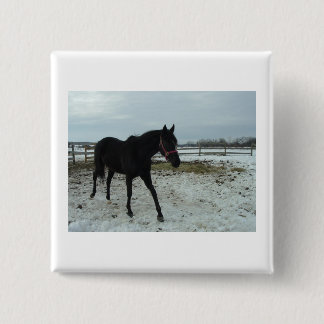 Black Stallion Beauty 15 Cm Square Badge
