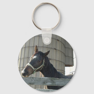 Black Stallion Beauty Key Ring