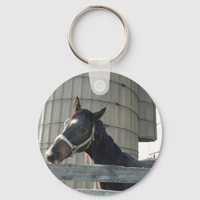 Black Stallion Beauty Key Ring (Front)