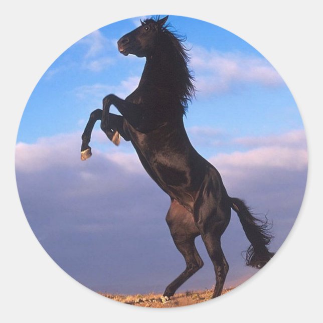Black Stallion Classic Round Sticker (Front)