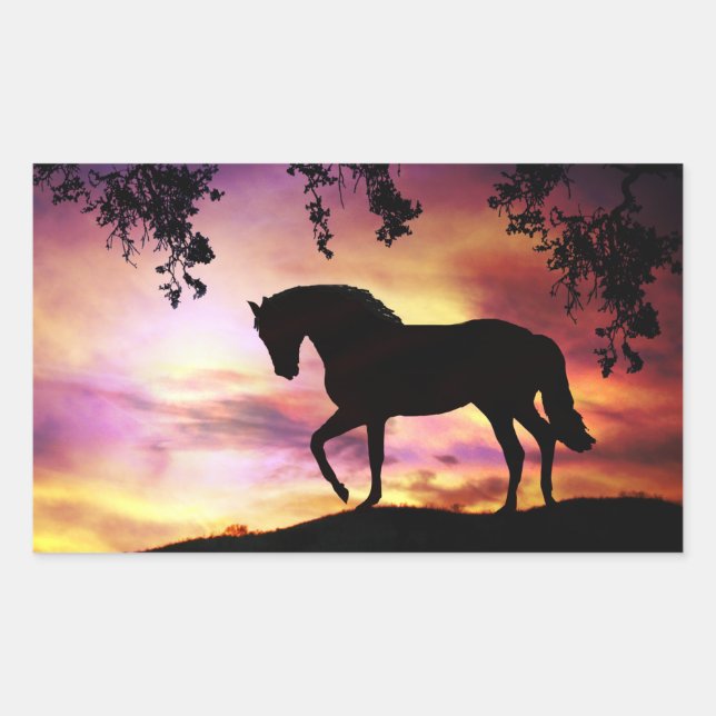 Black Stallion in the Sunset Stickers (Front)