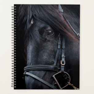 Black Stallion Planner