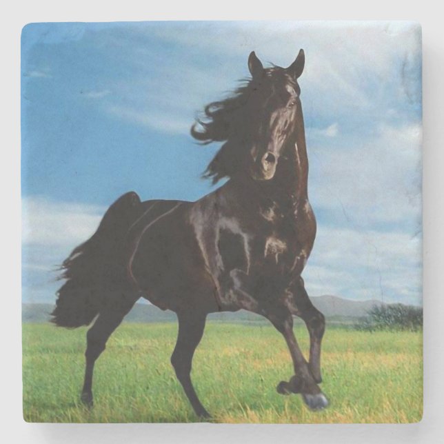 Black Stallion Stone Coaster (Front)