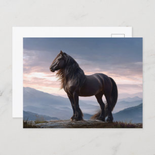 Black Stallion Wild Horse Mountain Top Postcard