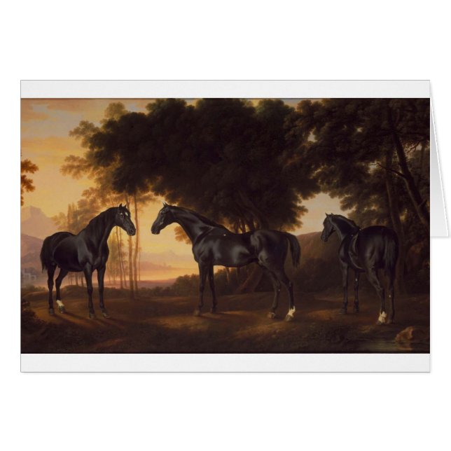 Black Stallions Vintage Painting by George Stubbs (Front Horizontal)