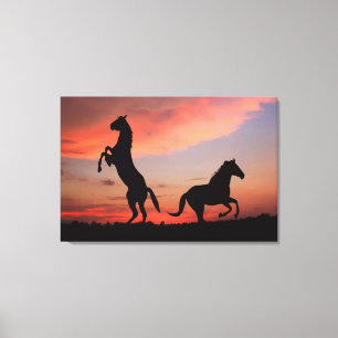 Black Stallone silhouette Canvas Print