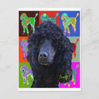 Black Standard Poodle Postcard